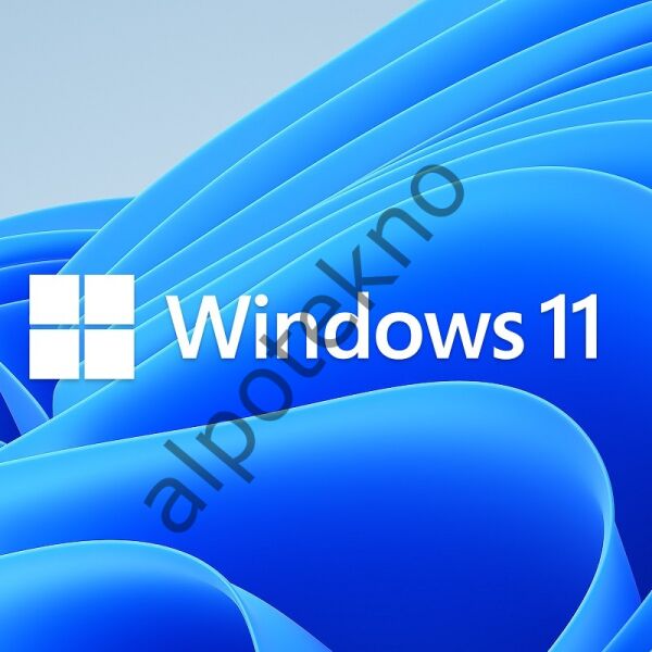 MS Windows 11 Pro FQC-10556 64BIT TR (OEM)