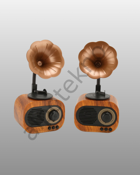 Retro Tasarımlı Mini Bluetooth Hoparlör ve FM Radyo Çoklu Medya Yeni Nesil