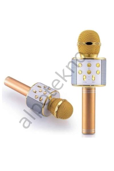 Karaoke Mikrofon Dahili Hoparlörlü Sd-usb-aux Girişli Bluetooth Hoparlör