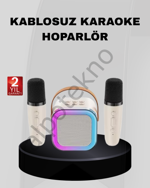 Taşınabilir Karaoke Hoparlör Bluetooth 5.0 ve Çift Mikrofonlu