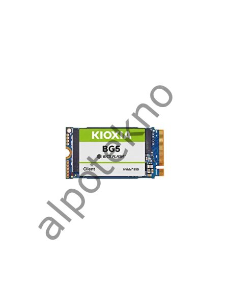 256GB Kioxia BG5 M.2 2242 BG50ZNT256G NVMe SSD Disk (Kısa) (Kutusuz)