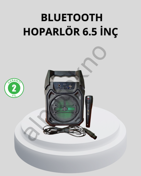 Taşınabilir Bluetooth Hoparlör – FM Radyo, USB, SD Kart ve TWS Özellikli