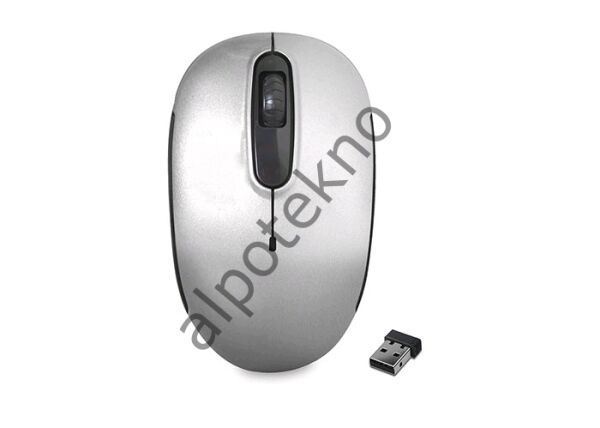Everest SMW-666 Gümüş 2.4Ghz Kablosuz Mouse